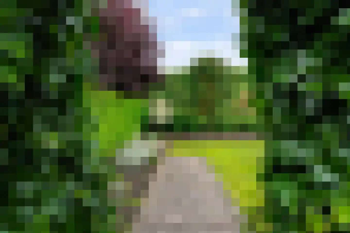 Burgemeester ter Veerstraat 6 Moergestel thumbnail 54