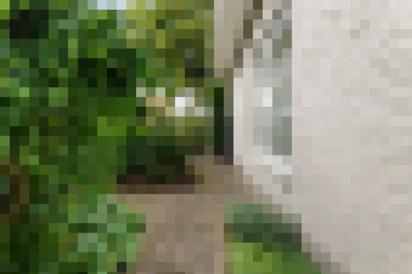 Burgemeester ter Veerstraat 6 Moergestel thumbnail 61