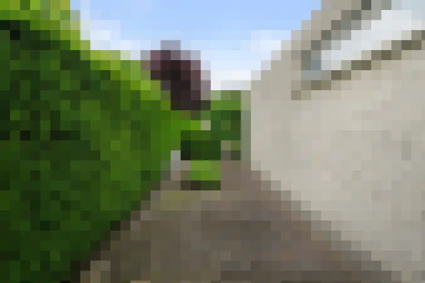 Burgemeester ter Veerstraat 6 Moergestel thumbnail 62