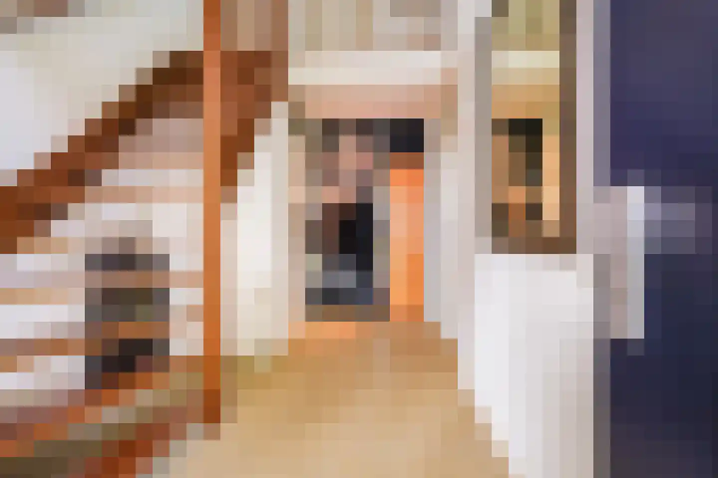 Burgemeester ter Veerstraat 6 Moergestel thumbnail 9