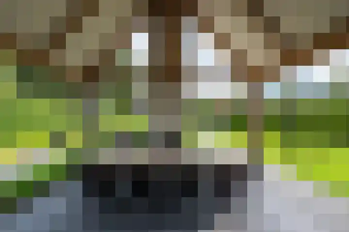 Burgemeester Termeerstraat 14 Mierlo thumbnail 35