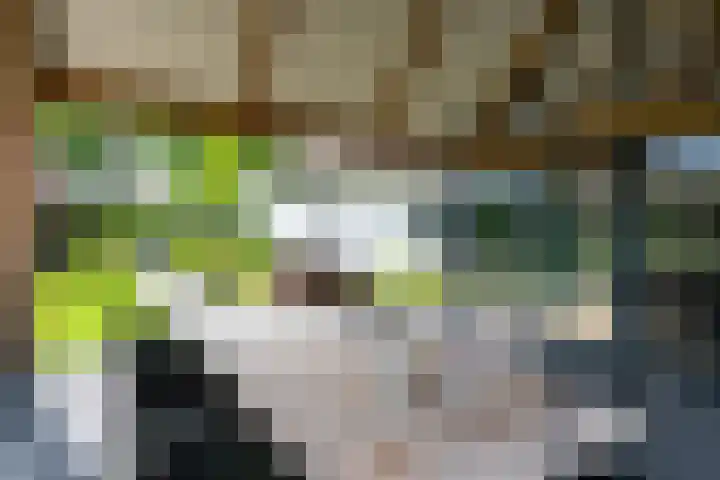 Burgemeester Termeerstraat 14 Mierlo thumbnail 5