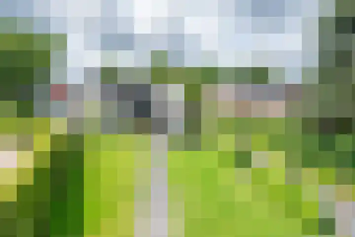 Burgemeester Termeerstraat 14 Mierlo thumbnail 6