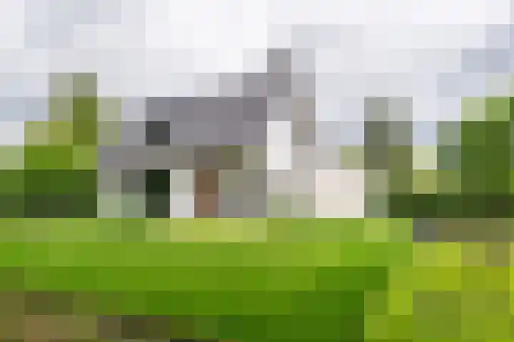 Burgemeester Termeerstraat 14 Mierlo thumbnail 60