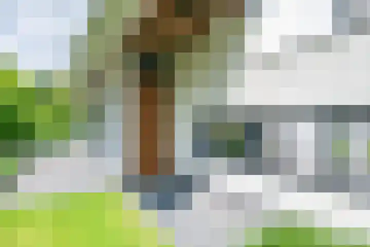 Burgemeester Termeerstraat 14 Mierlo thumbnail 8