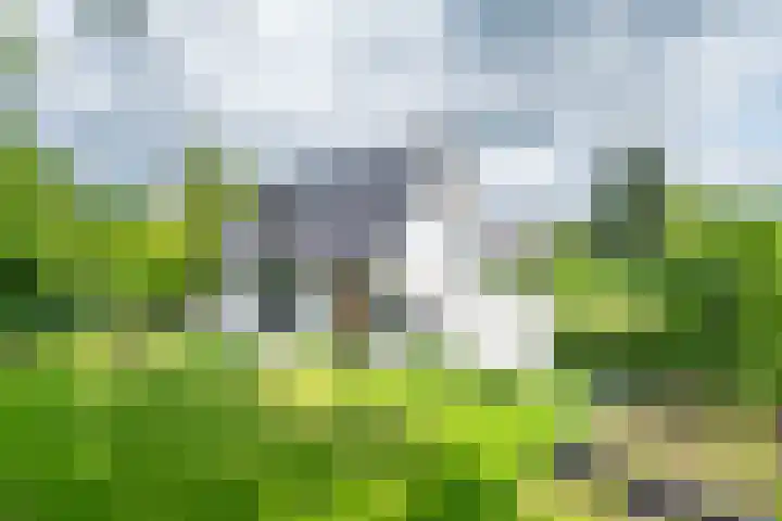 Burgemeester Termeerstraat 14 Mierlo thumbnail 9