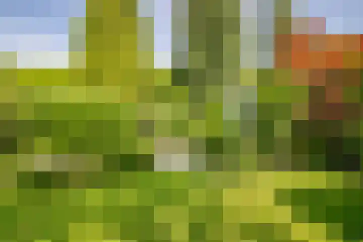 Burgemeester Thijssenlaan 7 Geulle thumbnail 26