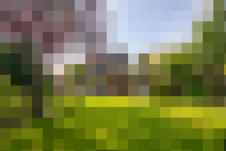 Burgemeester Thijssenlaan 7 Geulle thumbnail 27