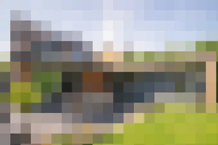 Burgemeester Thijssenlaan 7 Geulle thumbnail 28