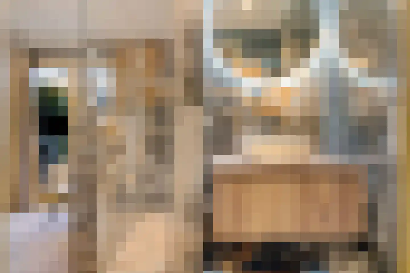 Burgemeester Tijmesstraat 4 Emmen thumbnail 4