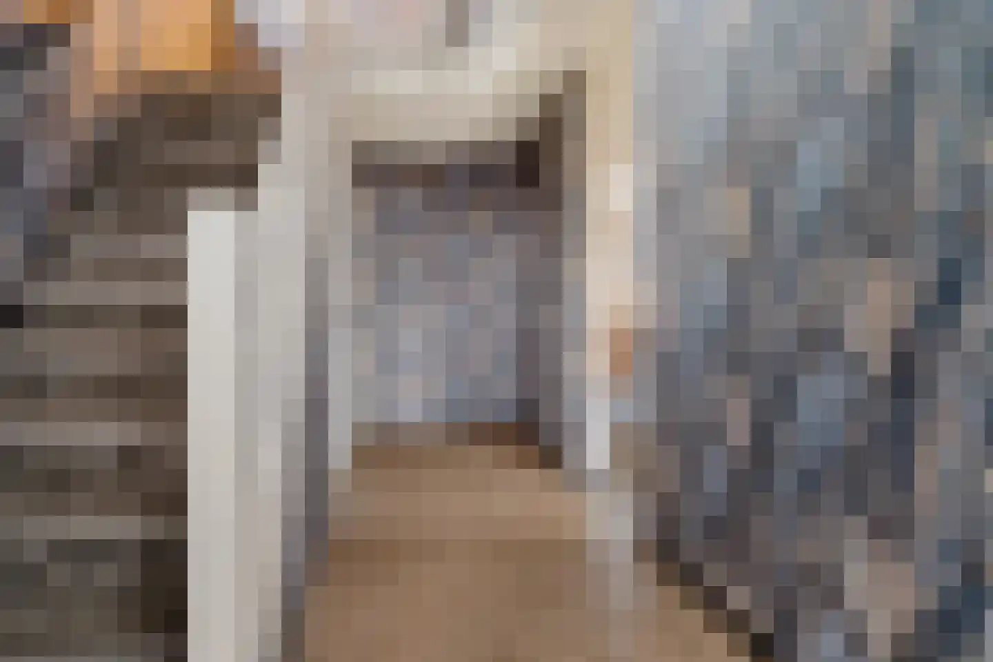 Burgemeester Tijmesstraat 4 Emmen thumbnail 5