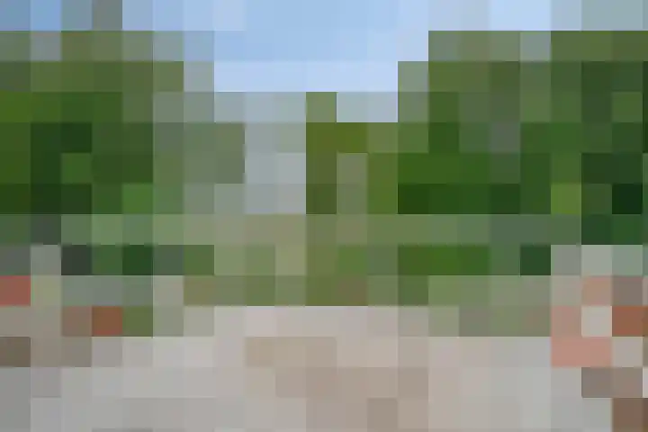 Burgemeester Timansweg 55 's-Heerenhoek thumbnail 32