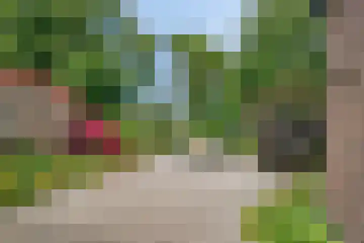 Burgemeester Timansweg 55 's-Heerenhoek thumbnail 35