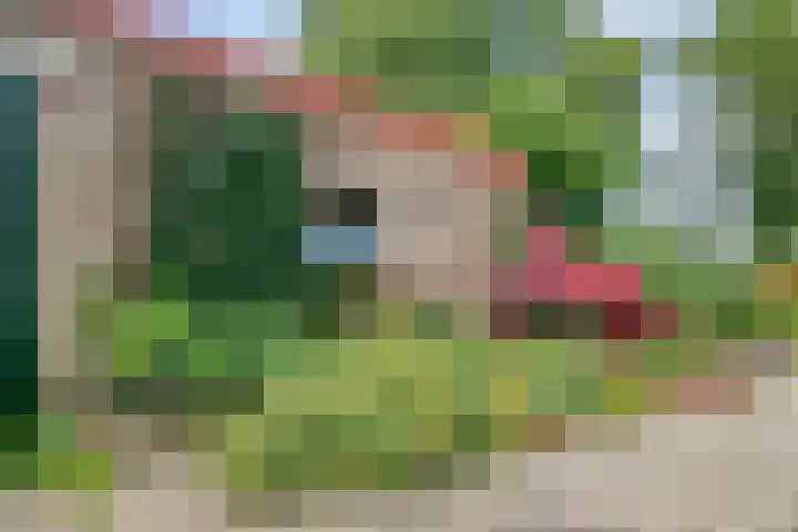 Burgemeester Timansweg 55 's-Heerenhoek thumbnail 37