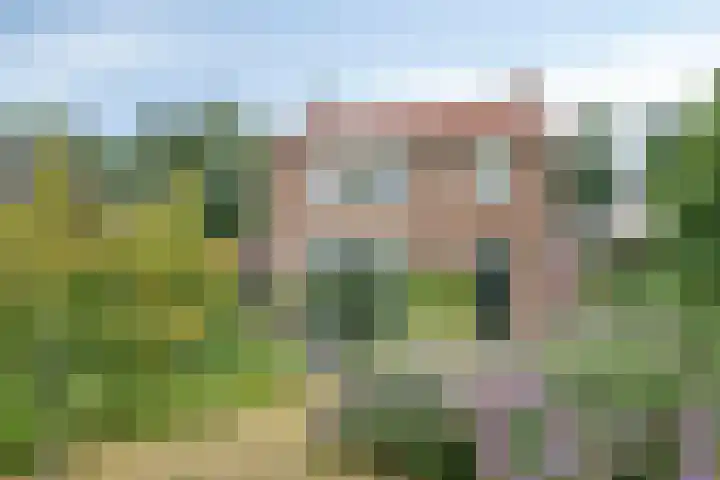 Burgemeester Timansweg 55 's-Heerenhoek thumbnail 4