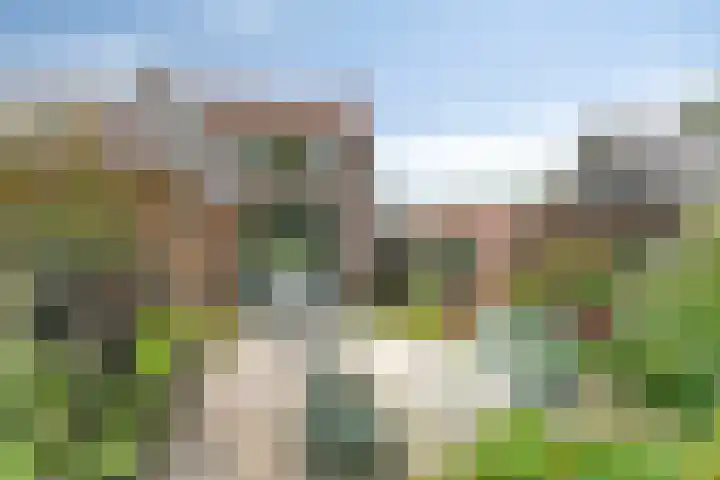 Burgemeester Timansweg 55 's-Heerenhoek thumbnail 40