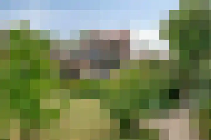 Burgemeester Timansweg 55 's-Heerenhoek thumbnail 42