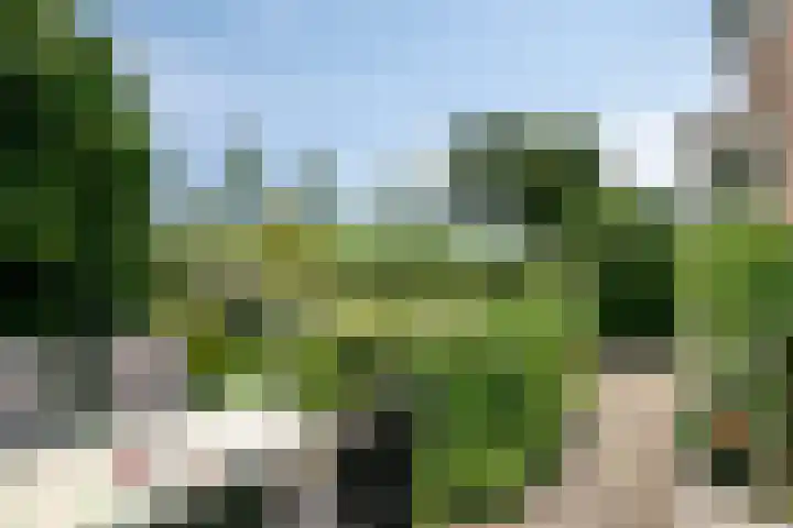 Burgemeester Timansweg 55 's-Heerenhoek thumbnail 46