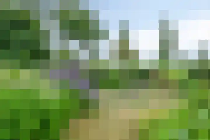 Burgemeester Timansweg 55 's-Heerenhoek thumbnail 48