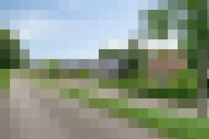Burgemeester Timansweg 55 's-Heerenhoek thumbnail 49