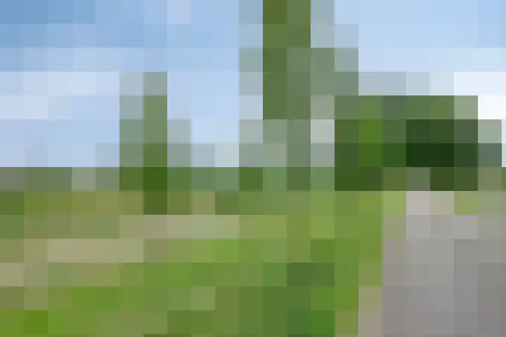 Burgemeester Timansweg 55 's-Heerenhoek thumbnail 51