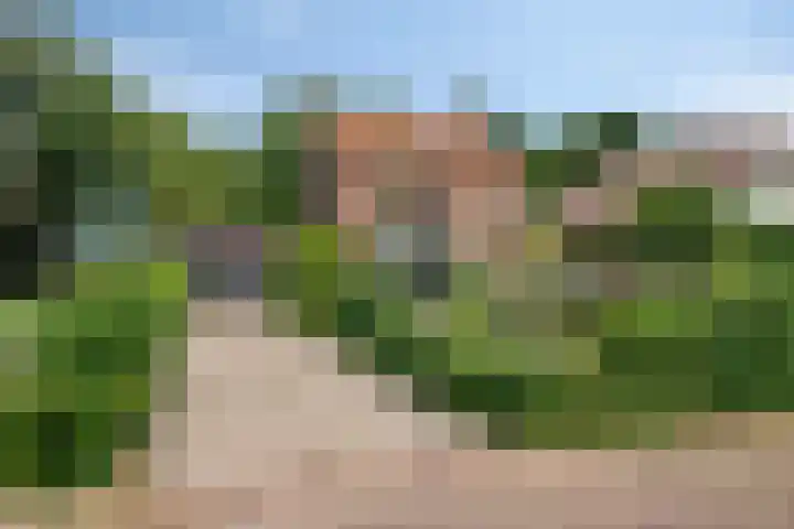 Burgemeester Timansweg 55 's-Heerenhoek thumbnail 58