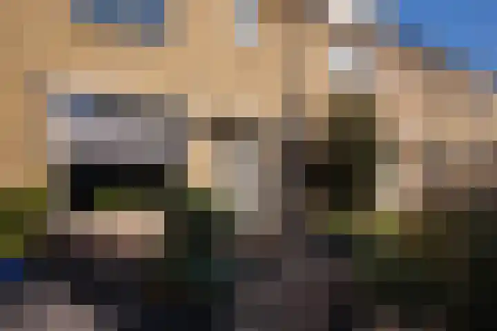 Burgemeester Timmermanslaan 16 Harmelen thumbnail 31
