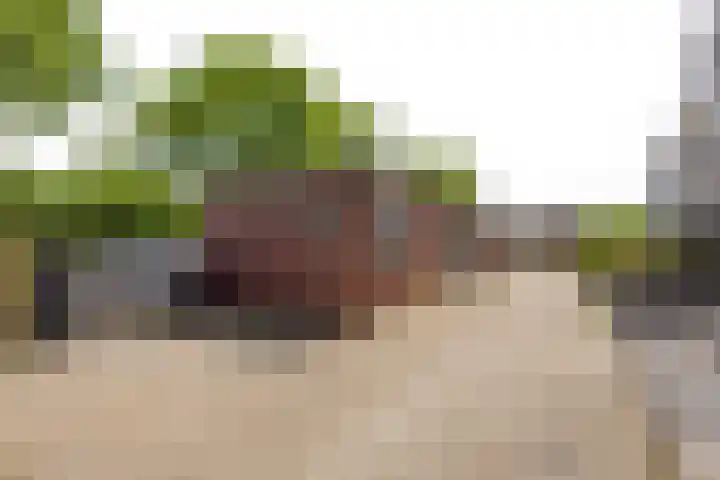 Burgemeester Timmermanslaan 21 Harmelen thumbnail 36