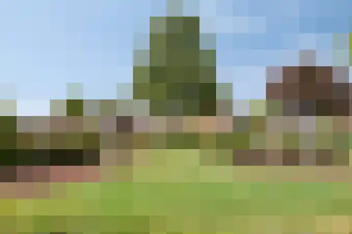 Burgemeester Timmermanslaan 21 Harmelen thumbnail 37