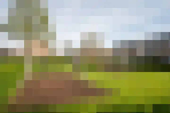 Burgemeester Timmermanslaan 25 Harmelen thumbnail 58