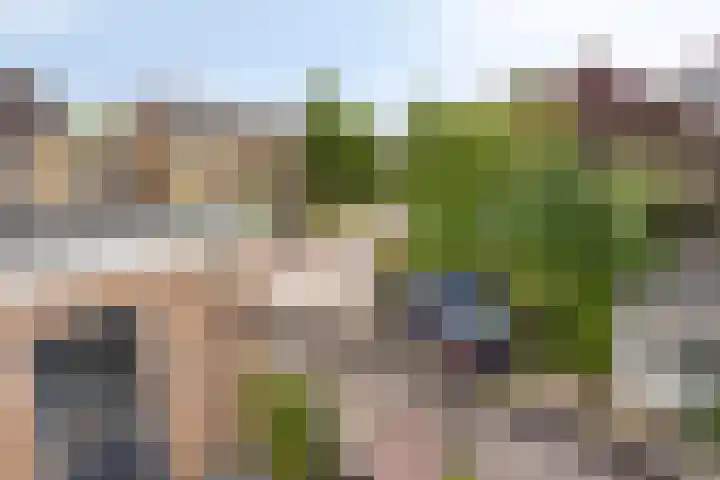 Burgemeester Timmermanslaan 31 Harmelen thumbnail 34