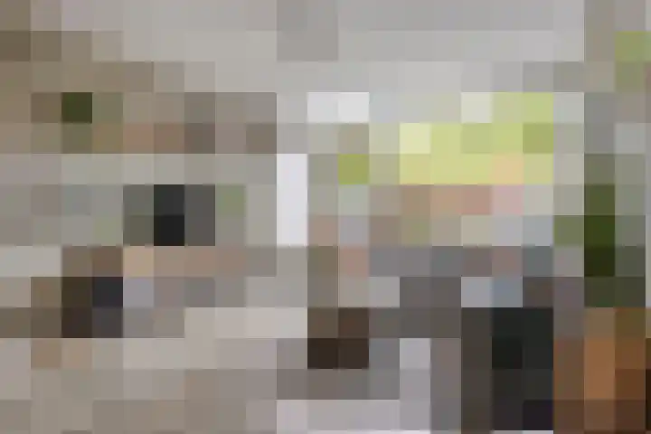 Burgemeester Timmermanslaan 31 Harmelen thumbnail 6