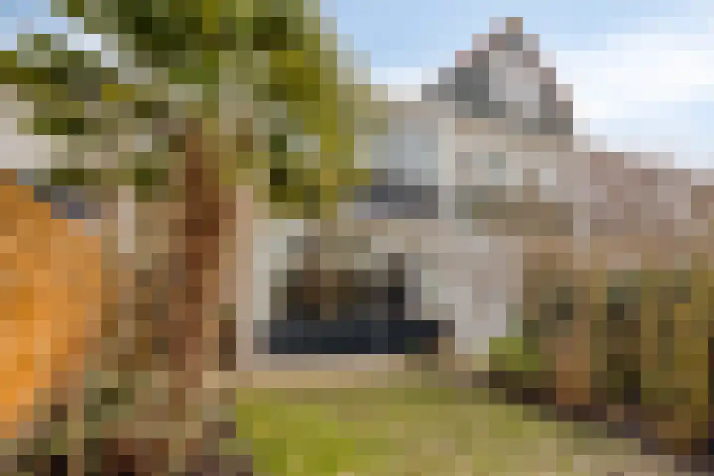 Burgemeester Timmermanslaan 39 Harmelen thumbnail 27