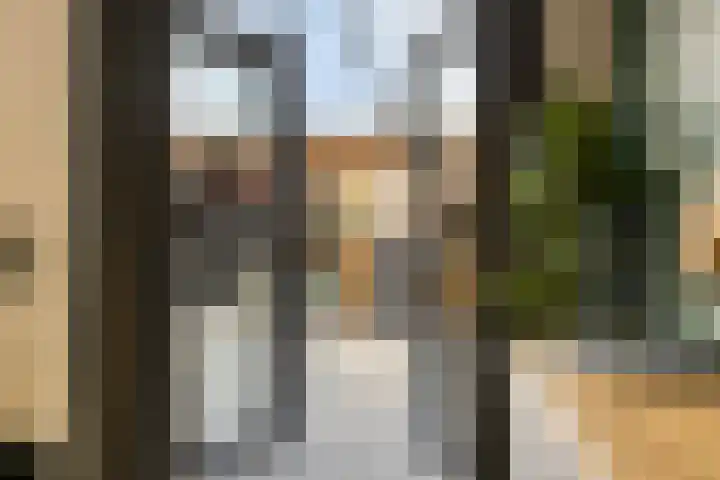 Burgemeester Timmermanslaan 9 Harmelen thumbnail 10