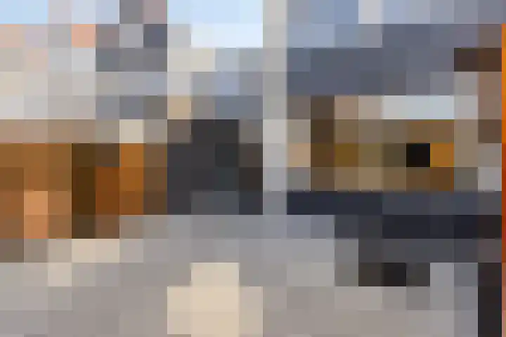 Burgemeester Timmermanslaan 9 Harmelen thumbnail 26
