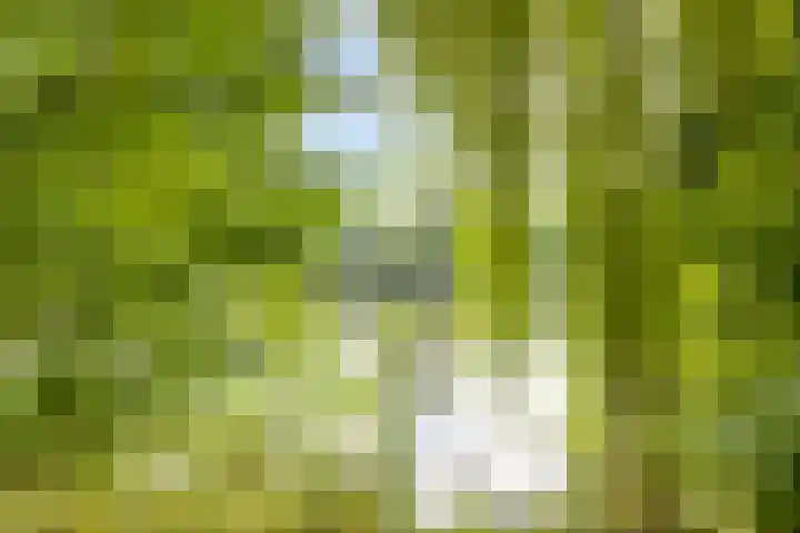 Burgemeester Timmermanslaan 9 Harmelen thumbnail 32