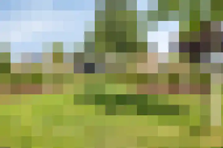 Burgemeester Timmermanslaan 9 Harmelen thumbnail 34