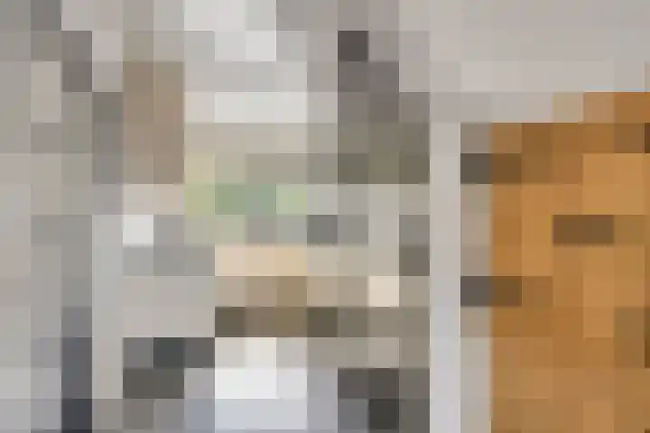 Burgemeester Timmermanslaan 9 Harmelen thumbnail 5
