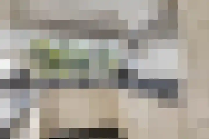 Burgemeester Timmermanslaan 9 Harmelen thumbnail 6