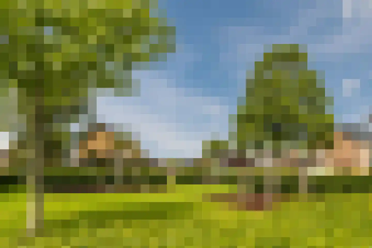 Burgemeester Timmermanslaan 95 Harmelen thumbnail 42