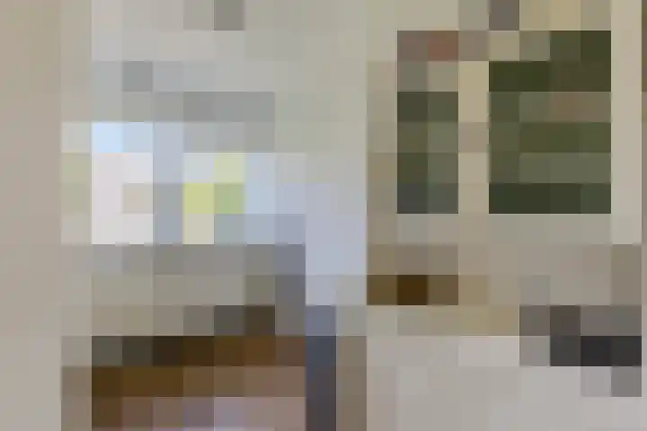 Burgemeester Timmermanslaan 99 Harmelen thumbnail 12