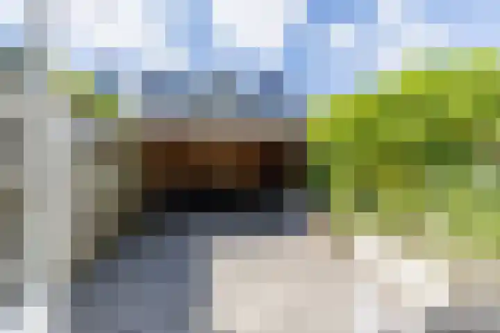 Burgemeester Timmermanslaan 99 Harmelen thumbnail 25