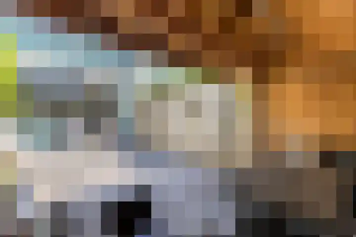 Burgemeester Timmermanslaan 99 Harmelen thumbnail 27
