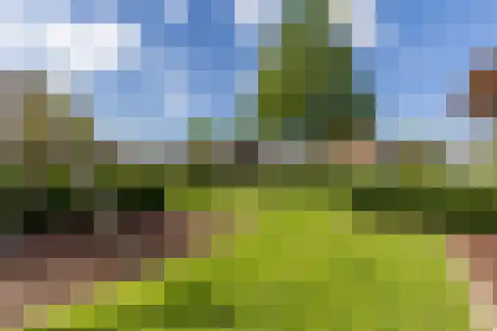 Burgemeester Timmermanslaan 99 Harmelen thumbnail 31