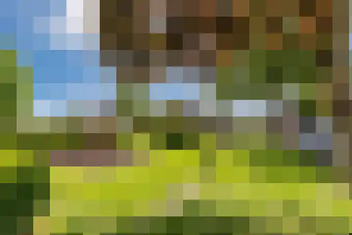 Burgemeester Timmermanslaan 99 Harmelen thumbnail 32