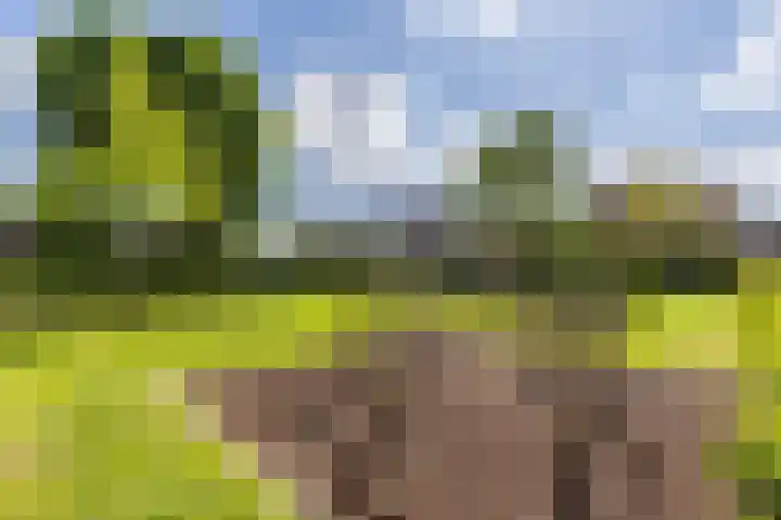 Burgemeester Timmermanslaan 99 Harmelen thumbnail 33
