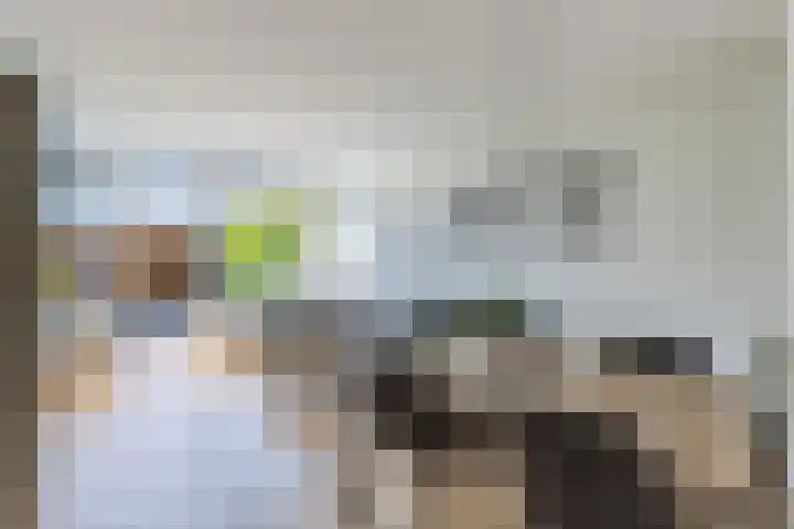 Burgemeester Timmermanslaan 99 Harmelen thumbnail 8