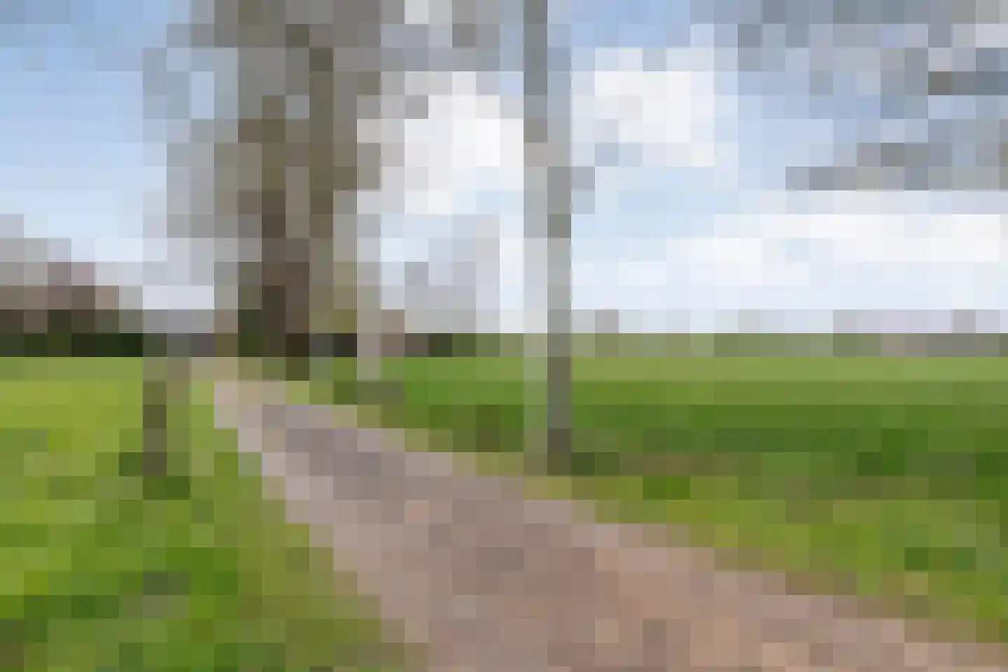 Burgemeester Tonckensstraat 53 Zuidwolde thumbnail 100