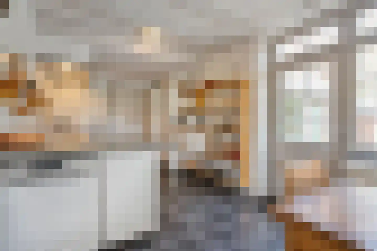 Burgemeester Tonckensstraat 53 Zuidwolde thumbnail 17