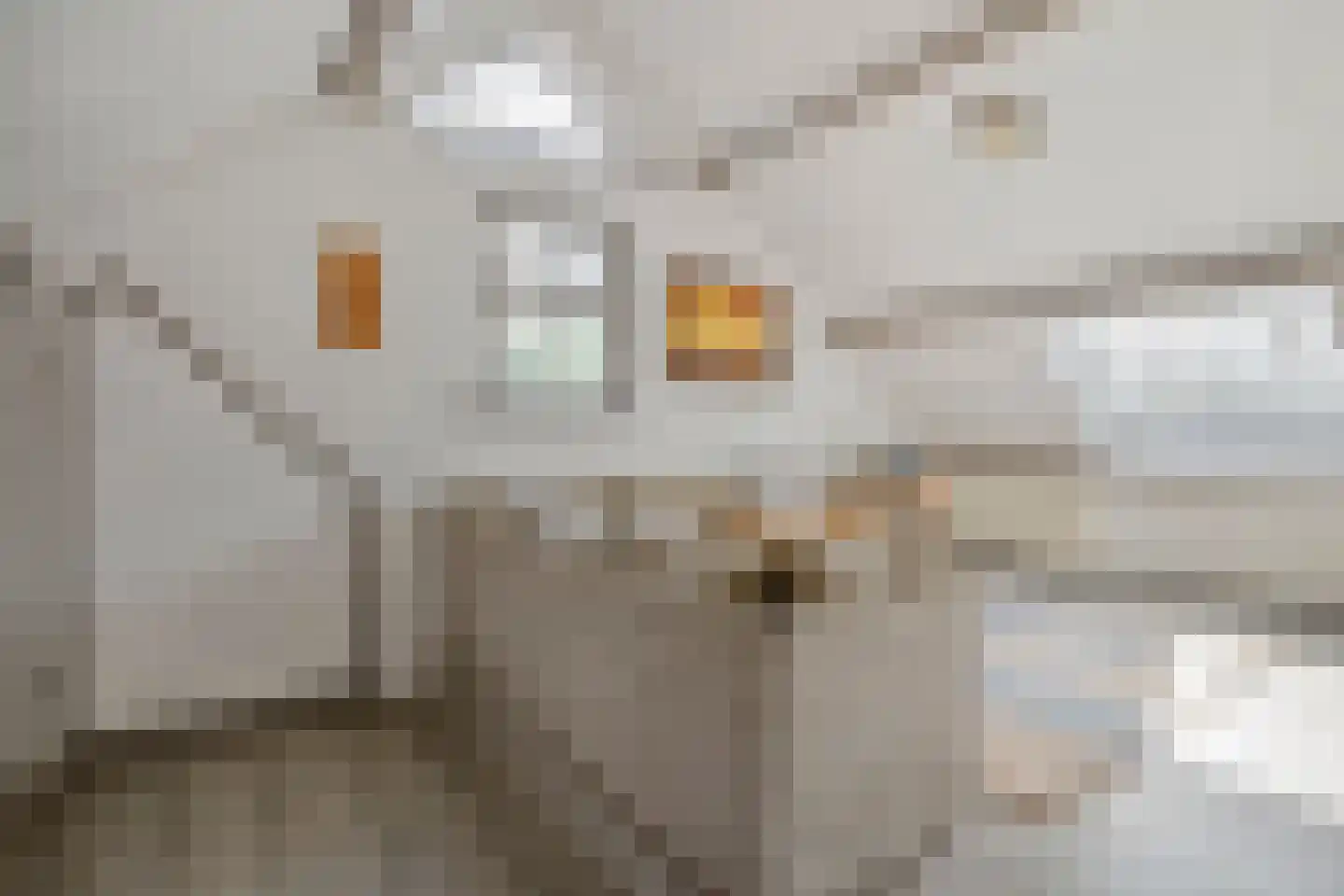 Burgemeester Tonckensstraat 53 Zuidwolde thumbnail 44